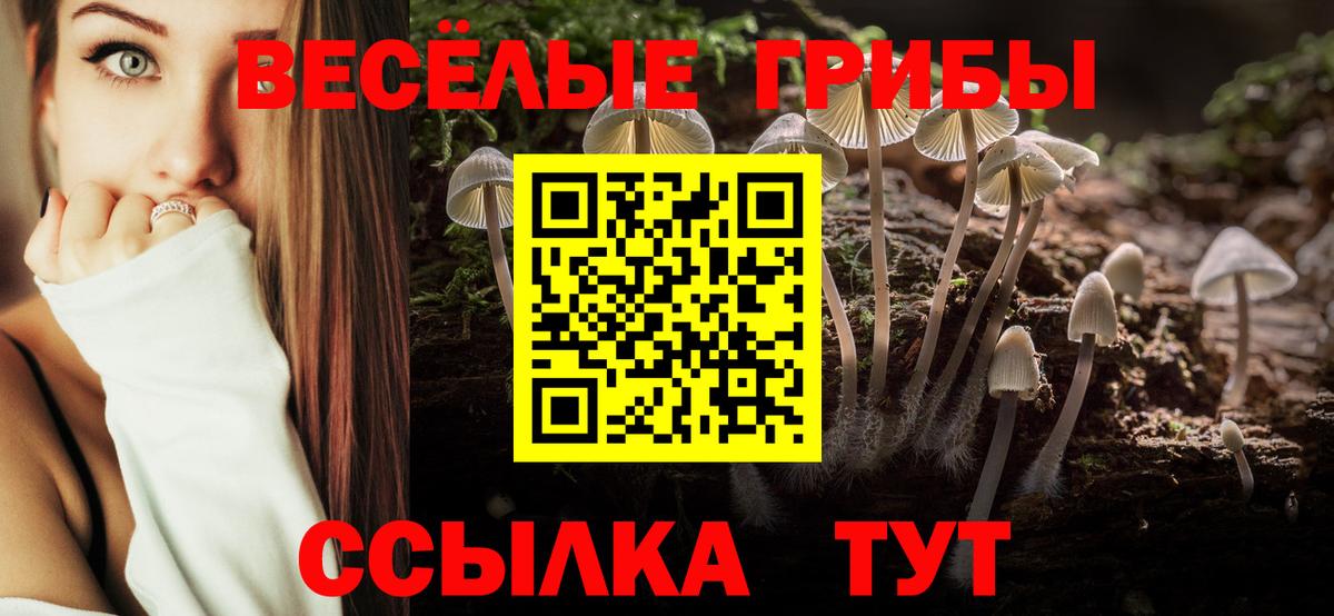 Псилоцибиновые грибы прущие грибы  Вход с VPN  продажа наркотиков  Галлюциногенные грибы Psilocybine cubensis  Урюпинск 