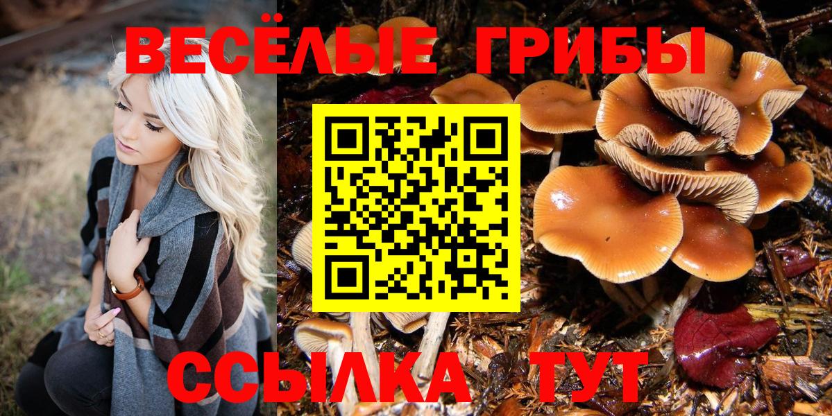 Галлюциногенные грибы GOLDEN TEACHER Урюпинск